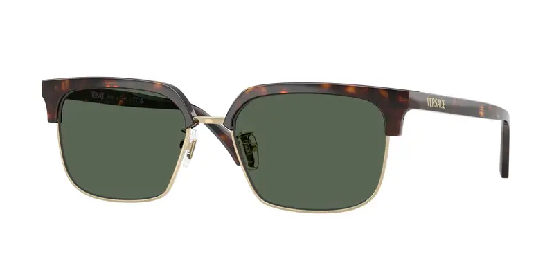 Versace Occhiali da sole Uomo Verde 846271