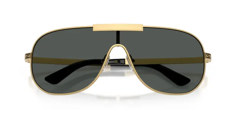 Versace Occhiali da sole Uomo Grigio 4305784 miniatura 2