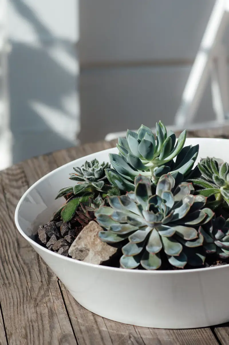 zuppiera NewWave Bianco miniatura 2