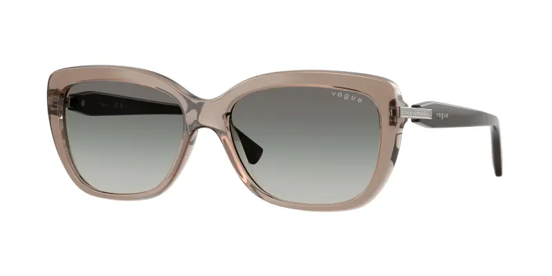 VOGUE EYEWEAR Occhiali da sole Donna Marrone 3182813