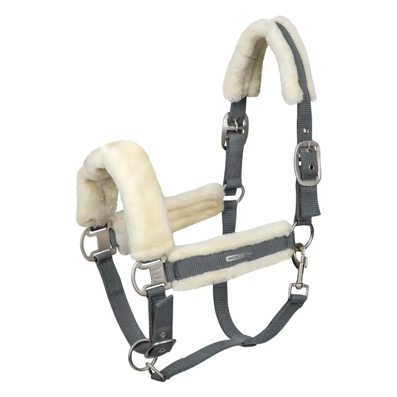 Cavallo da legare Waldhausen Soft