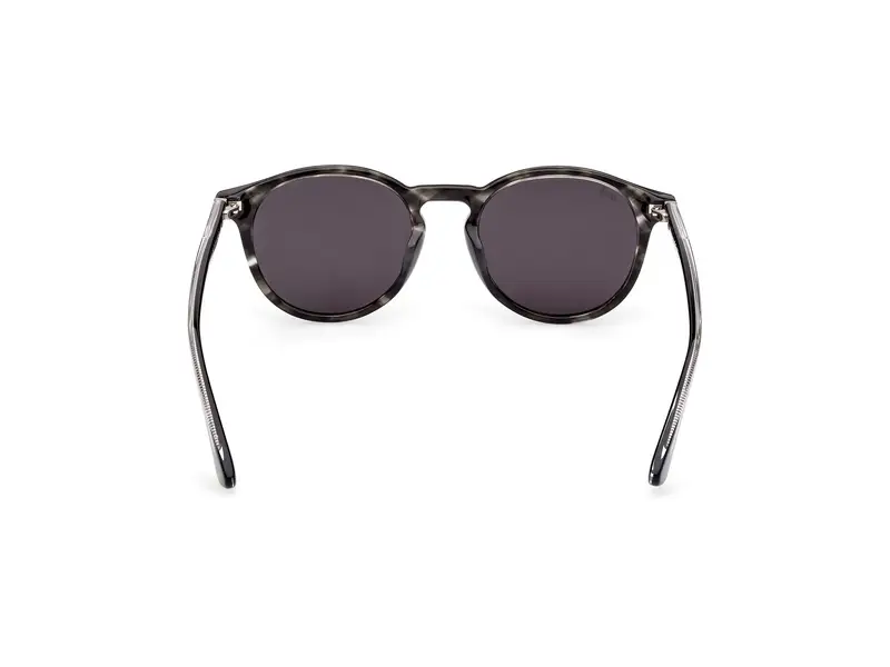 Web Unisex WE0328 05A Occhiali da sole Acetato Nero Grigio Rotonda Normale miniatura 3