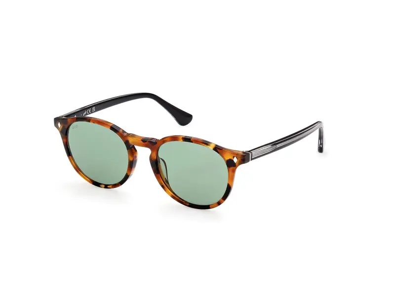 Web Unisex WE0328 56N Occhiali da sole Acetato Havana Verde Rotonda Normale