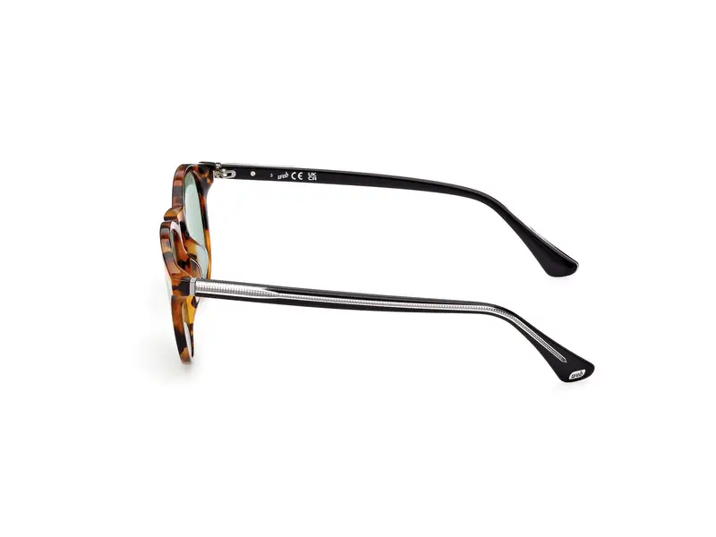 Web Unisex WE0328 56N Occhiali da sole Acetato Havana Verde Rotonda Normale miniatura 2