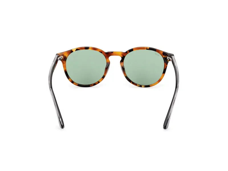 Web Unisex WE0328 56N Occhiali da sole Acetato Havana Verde Rotonda Normale miniatura 3