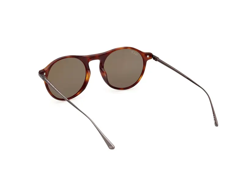 Web Unisex WE0346 52N Occhiali da sole Acetato Rotonda Normale miniatura 3