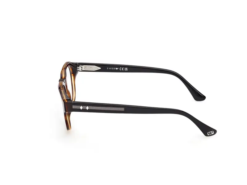 Web Unisex WE5421 55 Montature da vista Acetato Havana Rotonda Normale miniatura 2