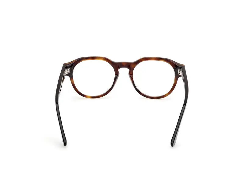 Web Unisex WE5421 55 Montature da vista Acetato Havana Rotonda Normale miniatura 3