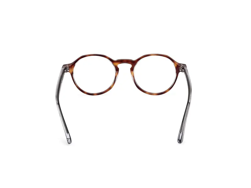 Web Unisex WE5440 56 Montature da vista Acetato Havana Rotonda Normale miniatura 3
