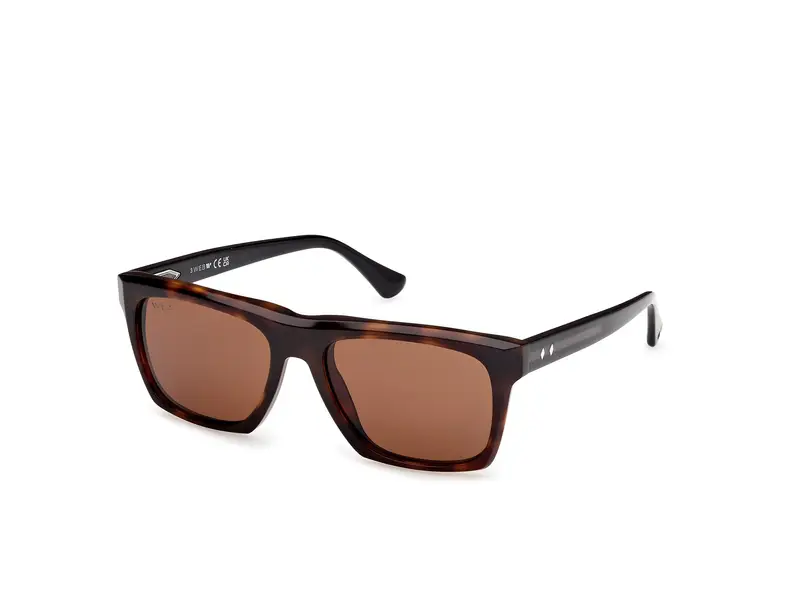 Web Occhiali da sole Uomo Testa di moro 876797