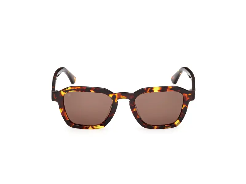 Web Occhiali da sole Uomo Marrone 3772876 miniatura 2