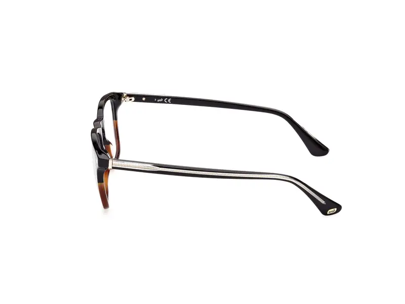 Web Uomo WE5386 56 Montature da vista Acetato Havana Squadrata Normale miniatura 2