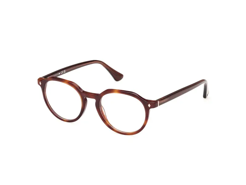 Web Uomo WE5427 56 Montature da vista Acetato Havana  Rotonda Normale