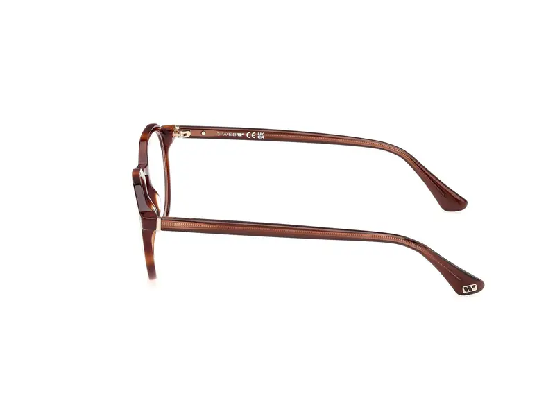 Web Uomo WE5427 56 Montature da vista Acetato Havana Rotonda Normale miniatura 2