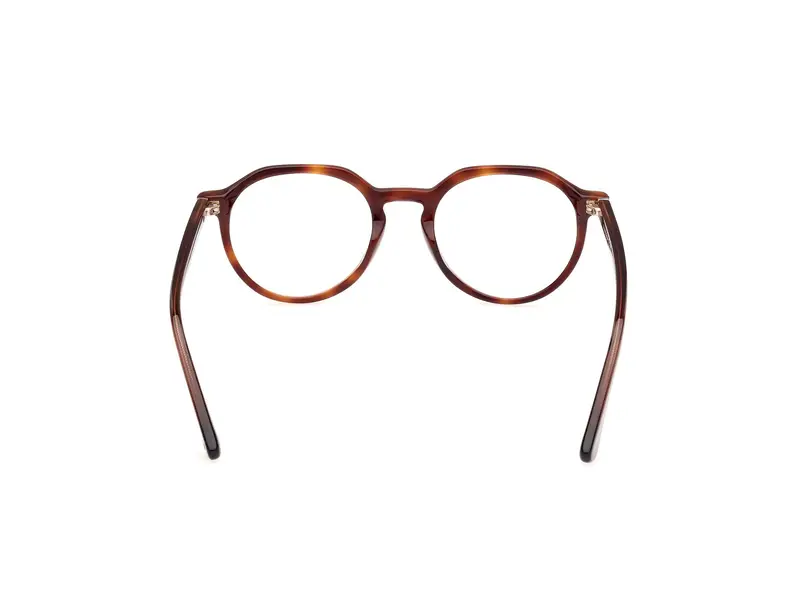 Web Uomo WE5427 56 Montature da vista Acetato Havana Rotonda Normale miniatura 3