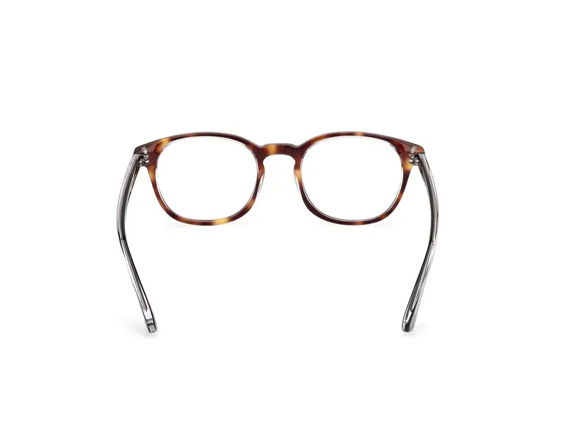 Web Uomo WE5441 56 Montature da vista Acetato Havana Rotonda Normale miniatura 3