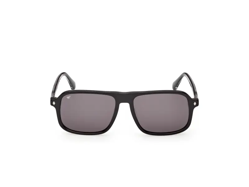 Web Occhiali da sole Uomo Nero 4305368 miniatura 2