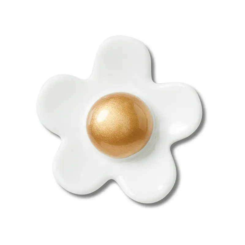 White daisy with gold center