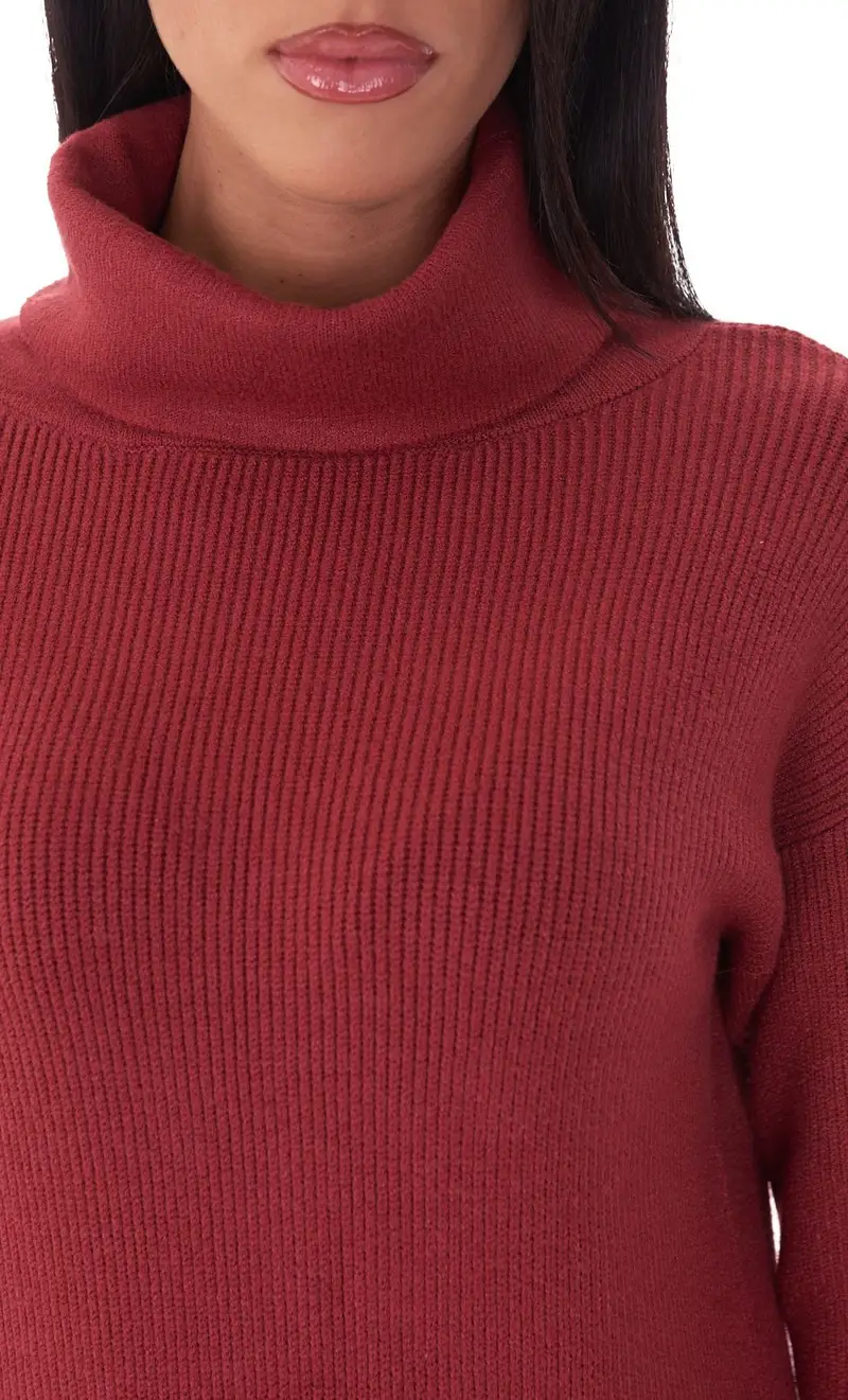 Abito in maglia white wise dolcevita a coste mattone, colore mattone miniatura 2