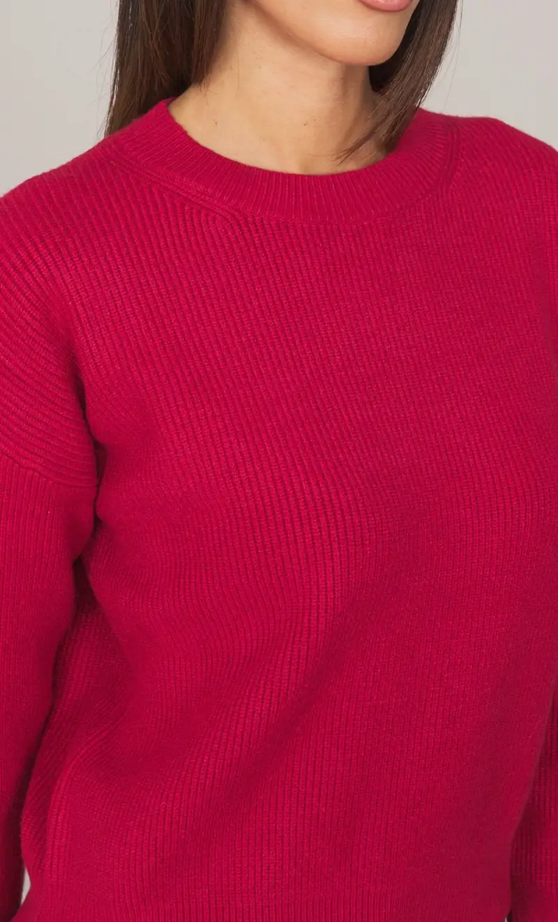 Maglia girocollo white wise a coste inglesi, colore rosso miniatura 2