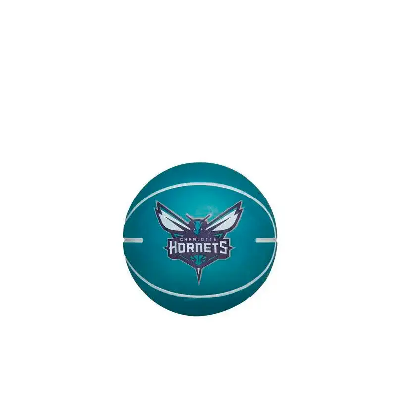 Palla che rimbalza nba dribbling Charlotte Hornets