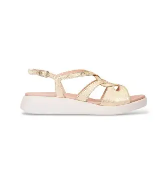 per donna C-6550 Sandali in pelle Gold Breeze (36), Oro, 3 a 5cm, Fibbia, Casual