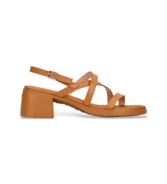 per donna D-2303 Moai03 Sandali in pelle marrone (36), 3 a 5cm, Fibbia, Casual, Da sera