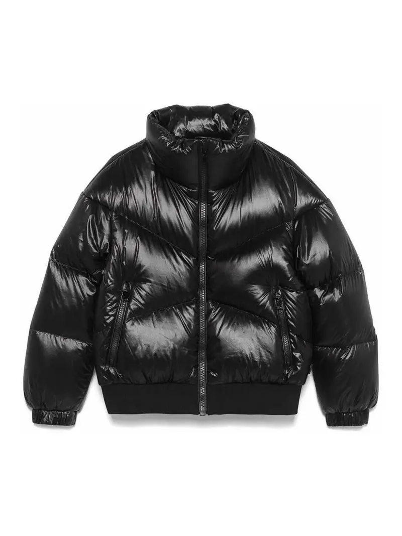 Bombardiere aliquippa Nero