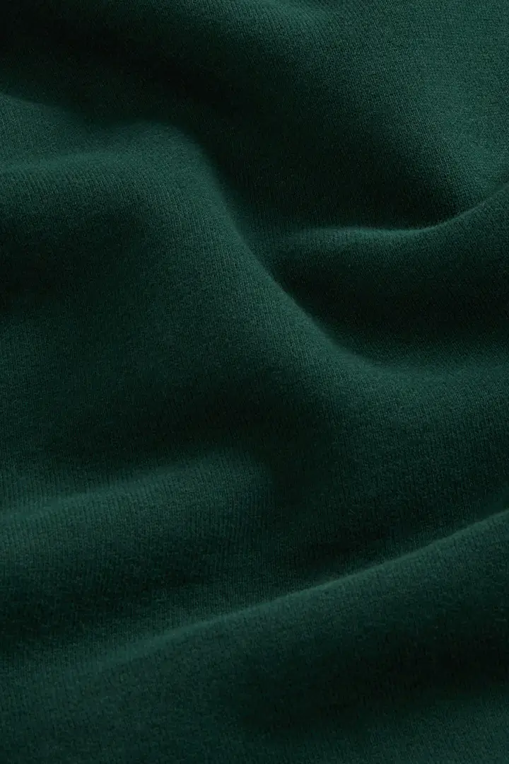 Felpa con cappuccio da ragazzi in puro cotone spazzolato Verde Dark Holly Green miniatura 2