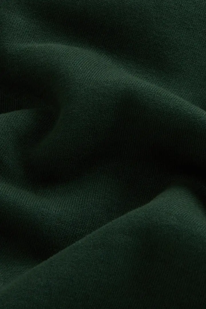 Felpa girocollo da ragazzi in puro cotone tinta in capo con stampa sul retro Verde Dark Holly Green miniatura 2