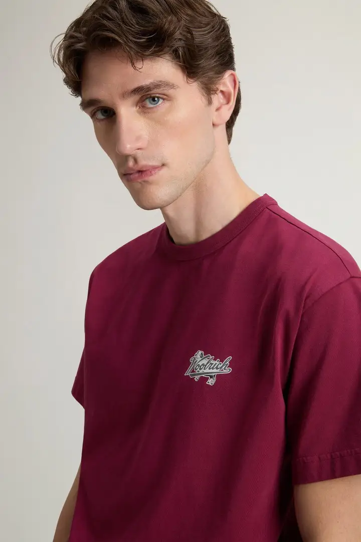 Woolrich T-shirt Uomo Bordeaux 4237508 miniatura 3