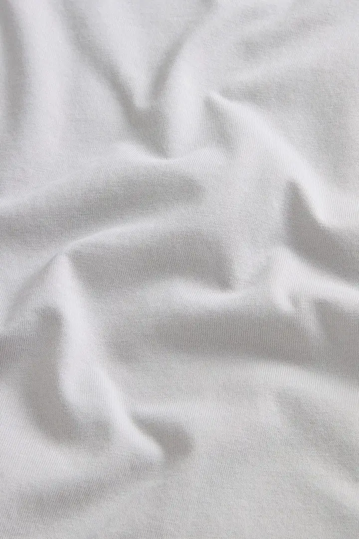 Woolrich T-shirt Uomo Grigio 4237510 miniatura 2