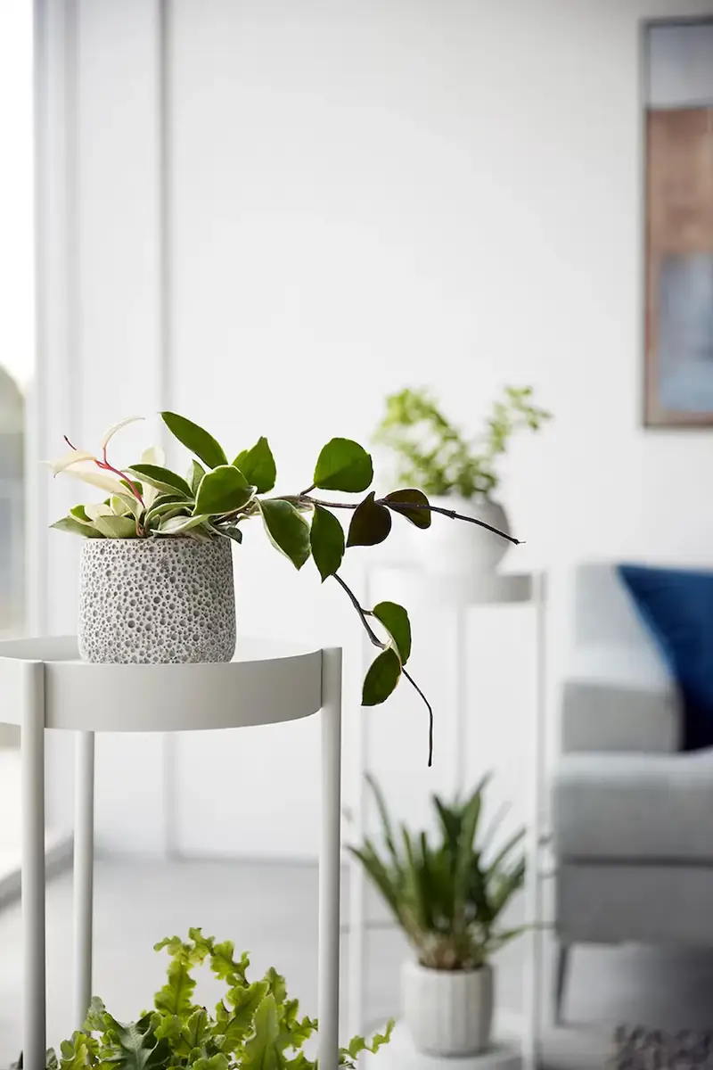 fioriera Tower colore bianco miniatura 4