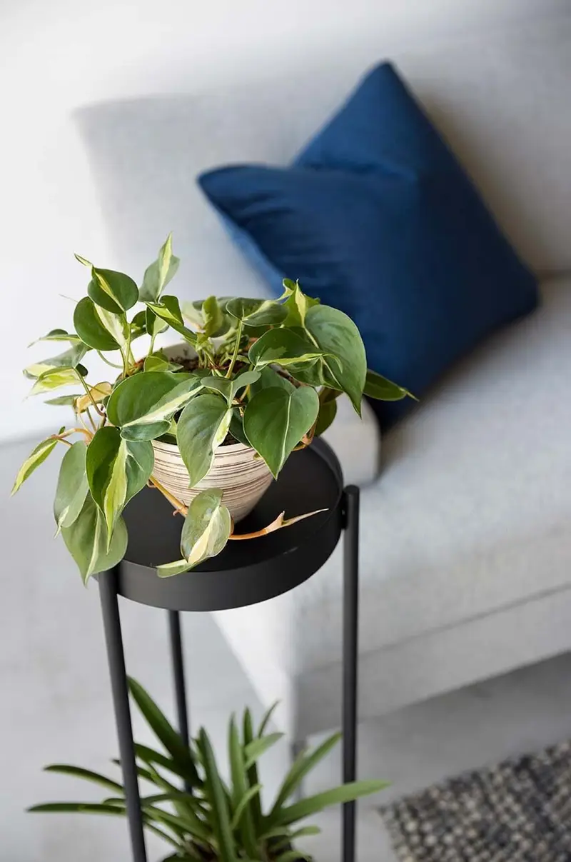 scaffale per piante Tower Nero miniatura 3