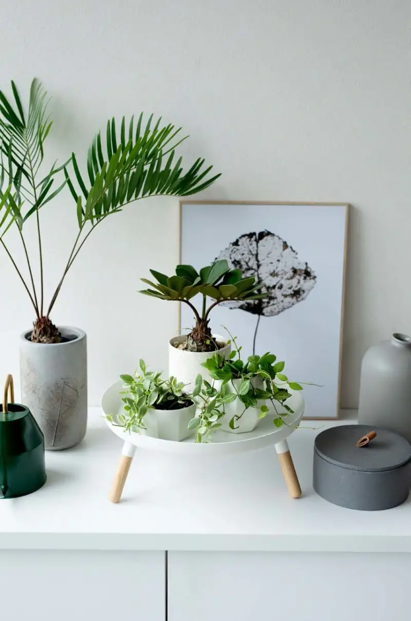 vasoio Plain Bianco miniatura 3