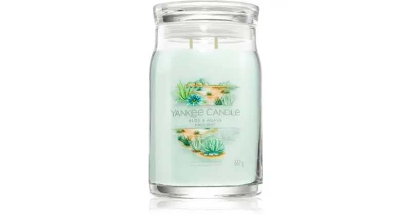 Aloe & Agave Signature Candela profumata - 567,0 g