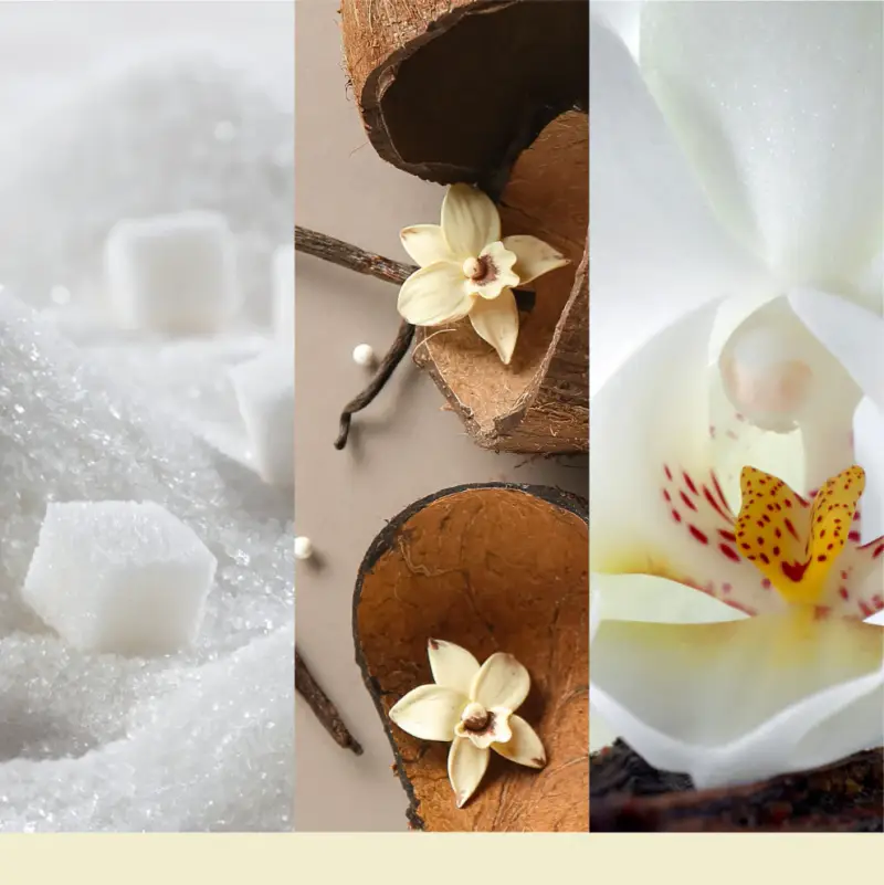 Filled Votive Candles Vanilla Flurries 37g - - Candele profumate miniatura 5