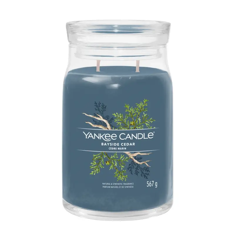 Signature Jar Candles Bayside Cedar 567g - LARGE - Candele profumate