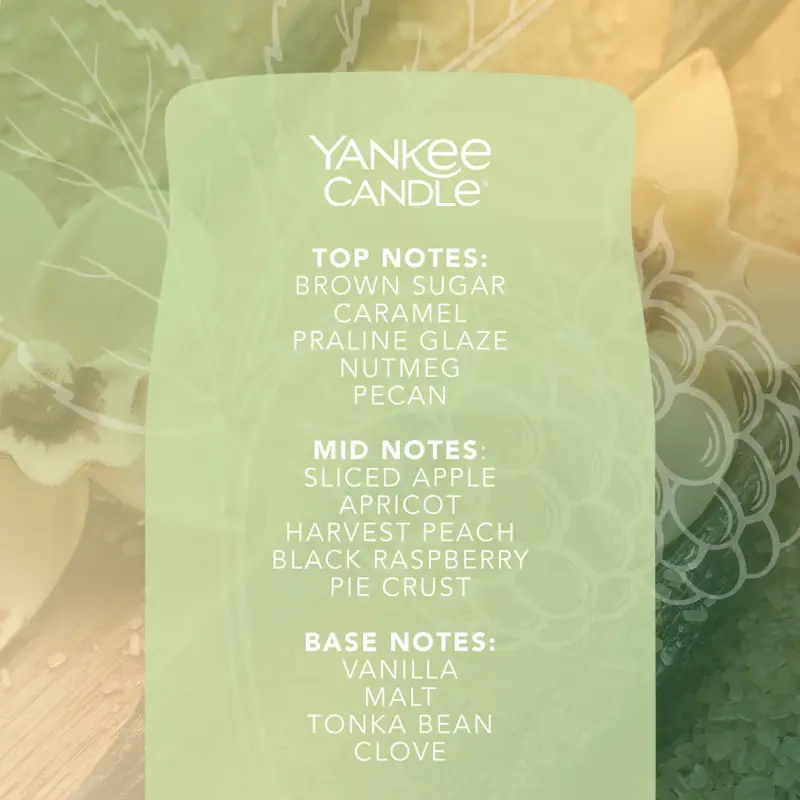 Signature Jar Candles Enchanted Orchard 567g - LARGE - Candele profumate miniatura 3