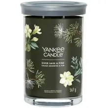 Silver Sage & Pine Signature Tumbler Candele (salvia argentata e pino) - Candela profumata - 567,0 g