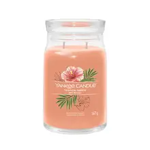 Tropical Breeze Signature candela- 368g