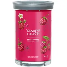 Yankee Candle Tumbler Candele Lamponi 567 g