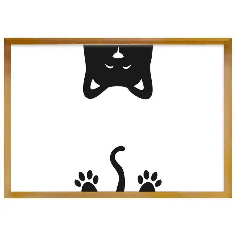 Immagine - orso Yellow Tipi Funny Band