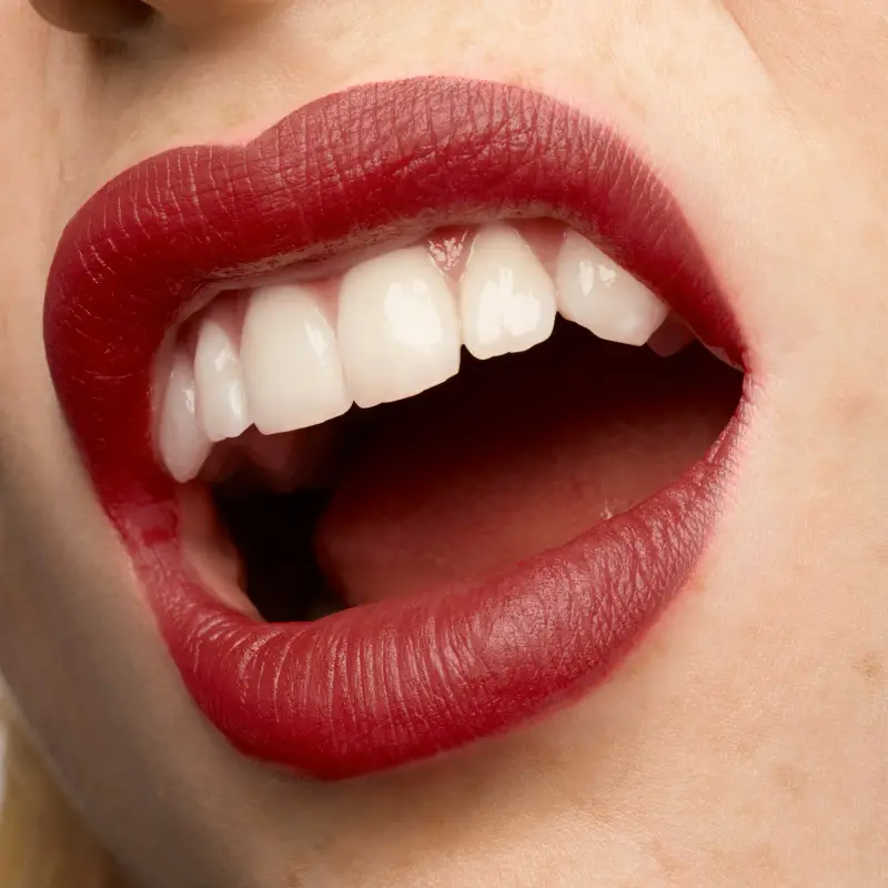 Labbra Rouge Pur Couture The Slim Velvet Radical 302 Brown. No Way Back. - Rossetti miniatura 4