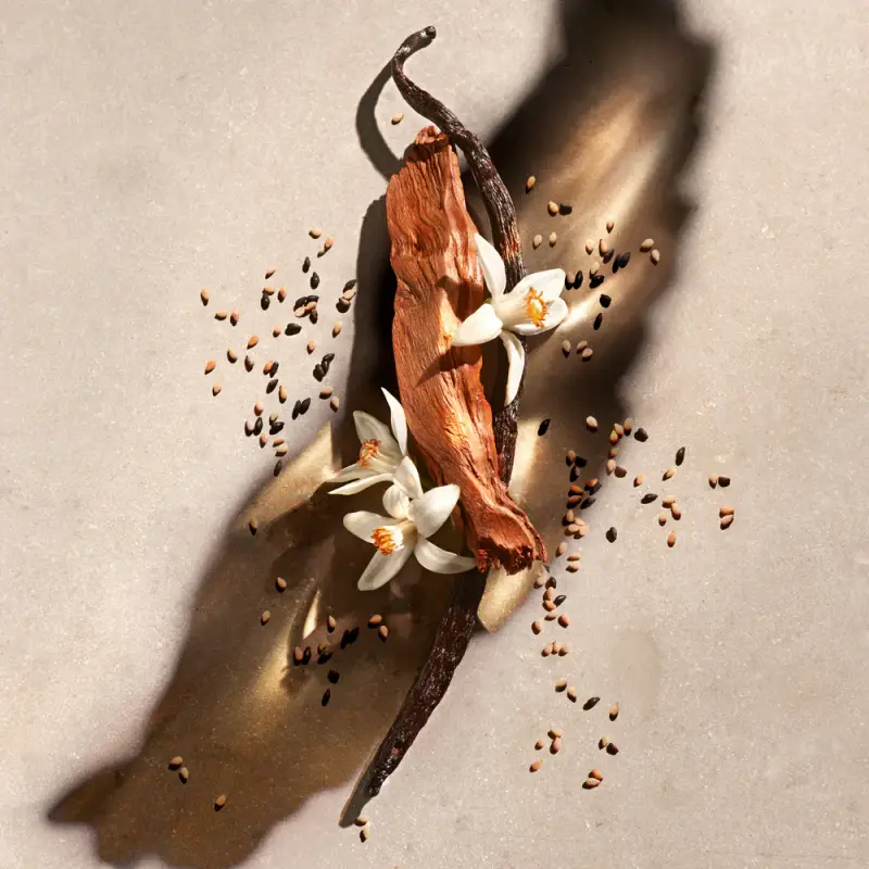 Zadig & Voltaire Bagnoschiuma Nero 3018374 miniatura 2