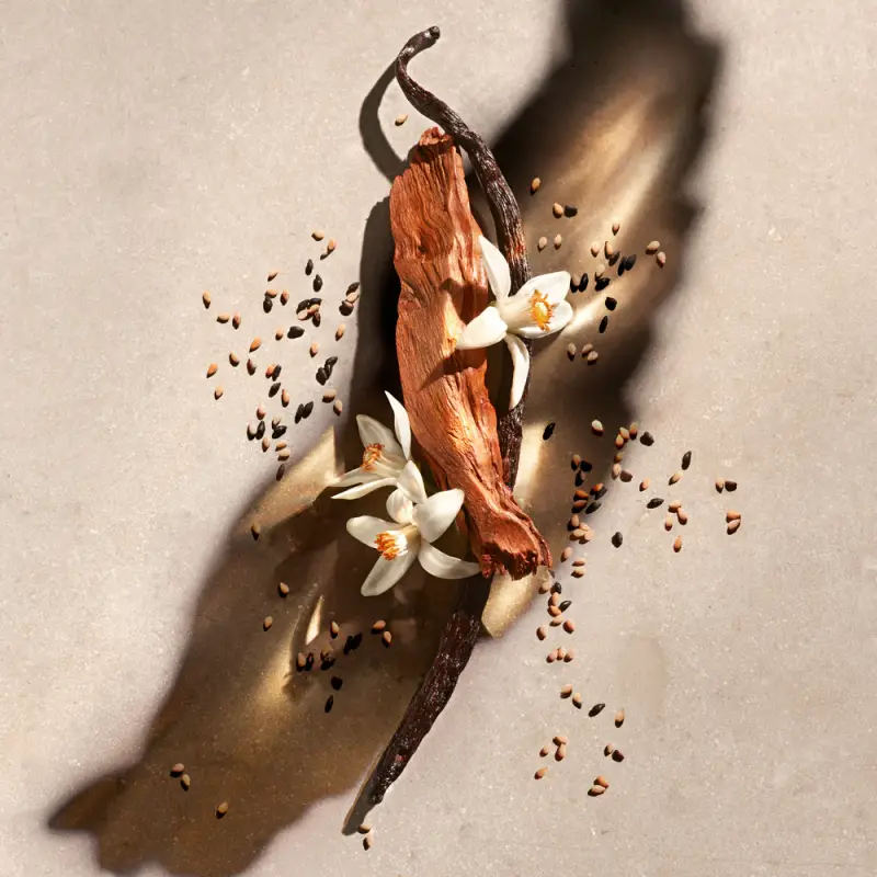 Zadig & Voltaire Eau de Parfum Donna Bianco 3018376 miniatura 2