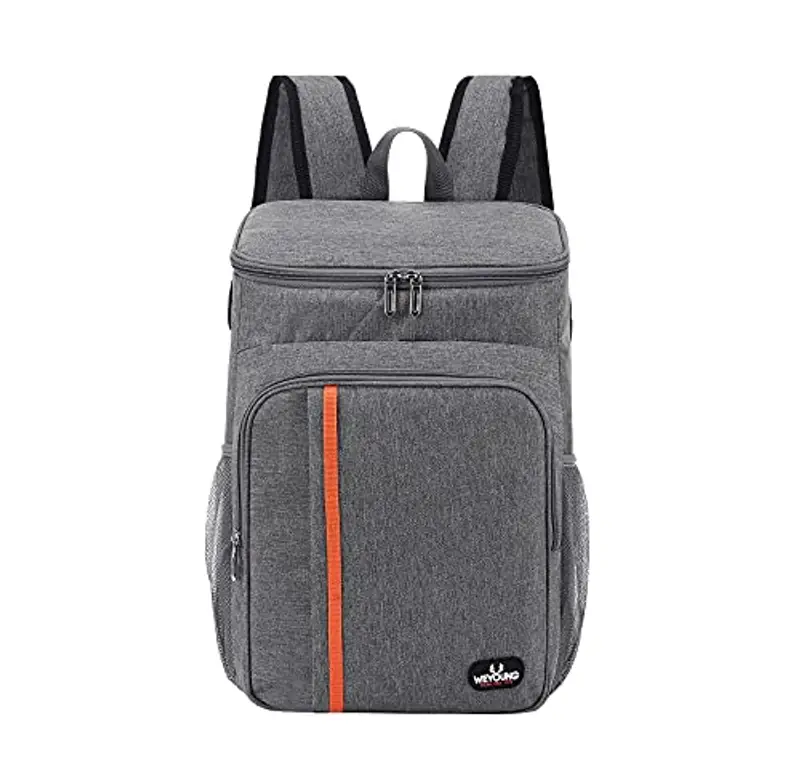 Zaino Termico Frigo 22L, Borsa Termica Porta Pranzo, Borsa Frigo Isoterma Impermeabile O cibi e Bevande Refrigerati per Picnic Escursionismo Campeggio Barbecue Campeggio Eventi Sportivi(Grigio) miniatura 2