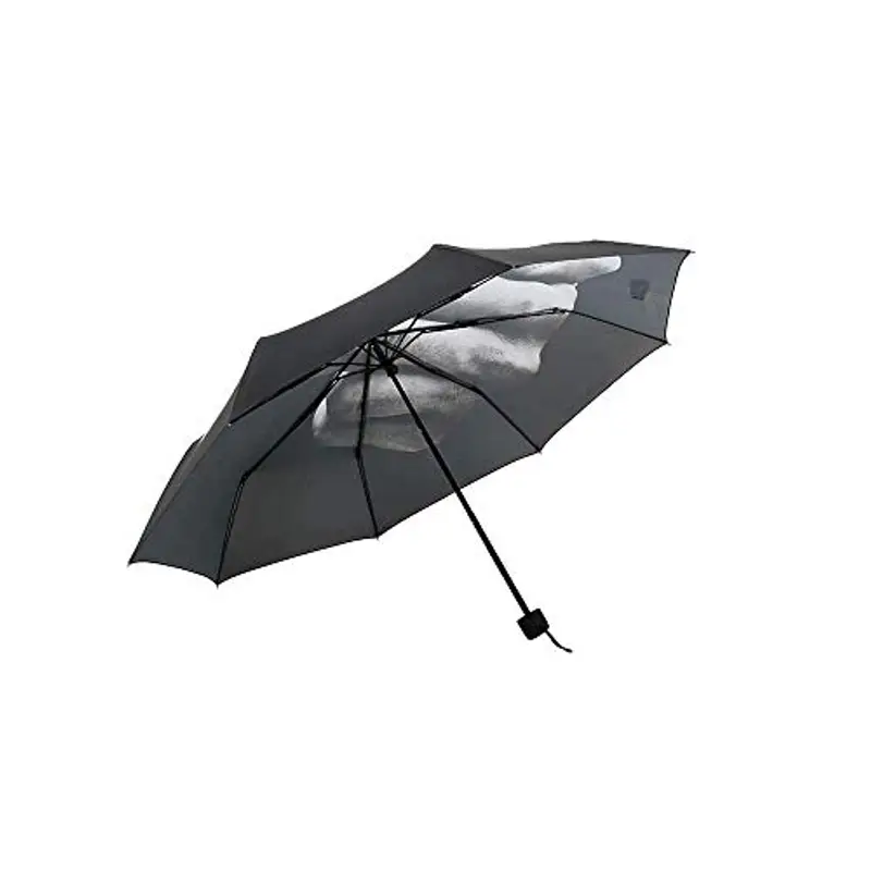 Zhaocaigui Baolong Direct - Ombrello da viaggio compatto con dito medio, design speciale antivento con confezione regalo, colore: nero, 38, 5 pollici, compatto, nero, 38.5 inches, Compatto miniatura 3