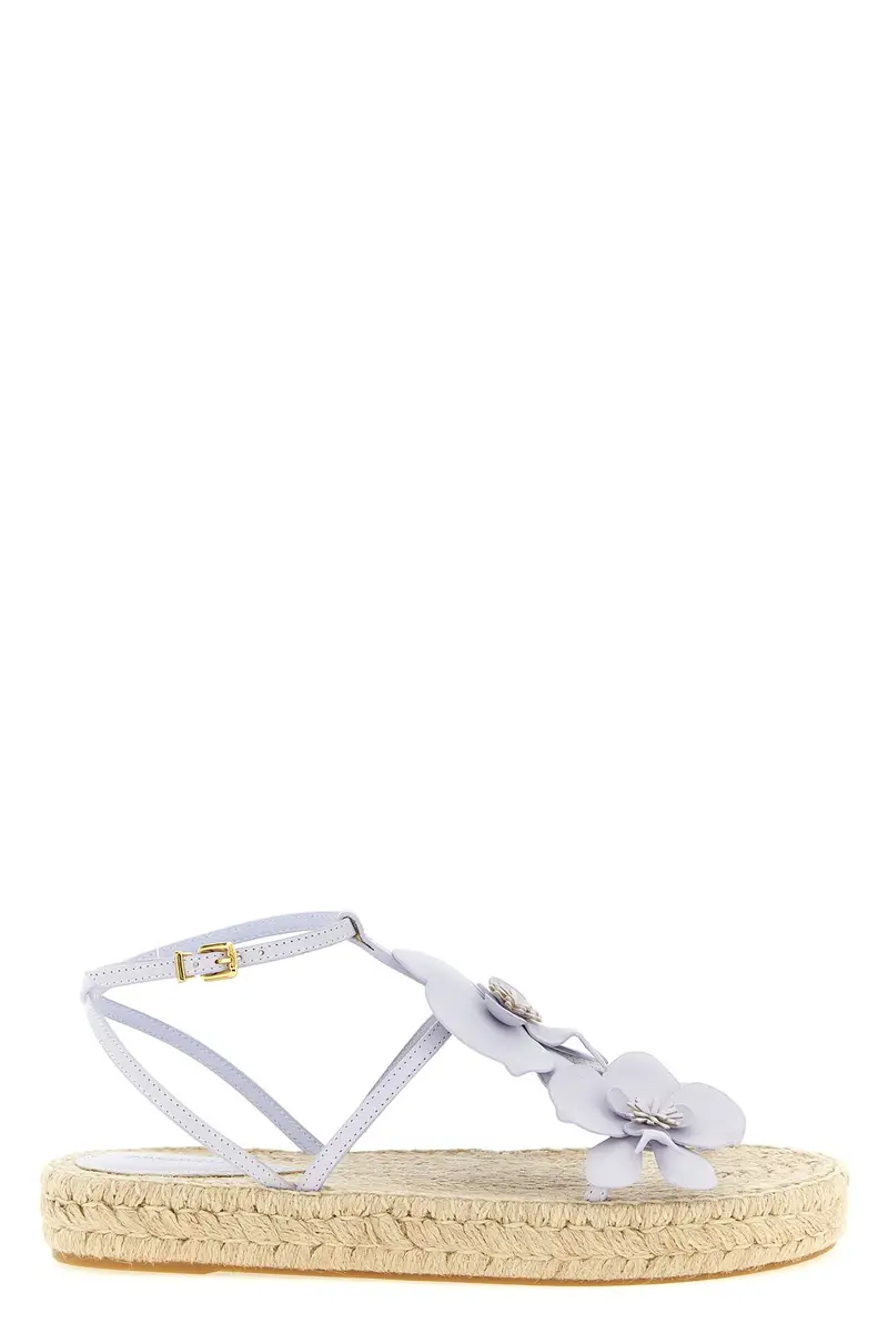 Sandalo Orchid Viola